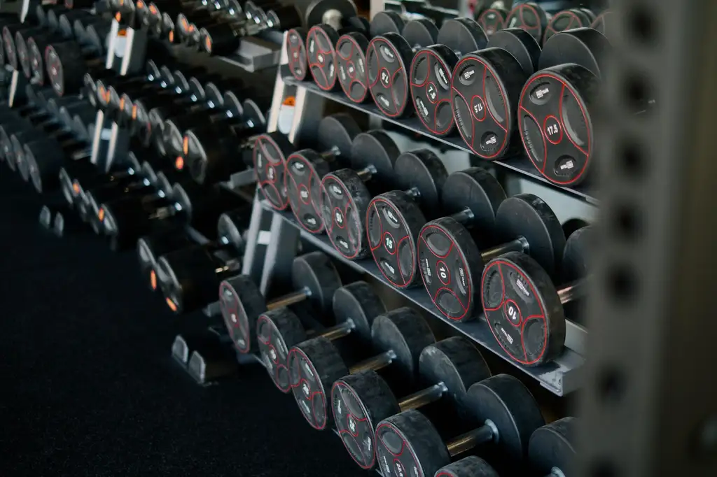A rack of dumbbells in a rehabilitation gym
